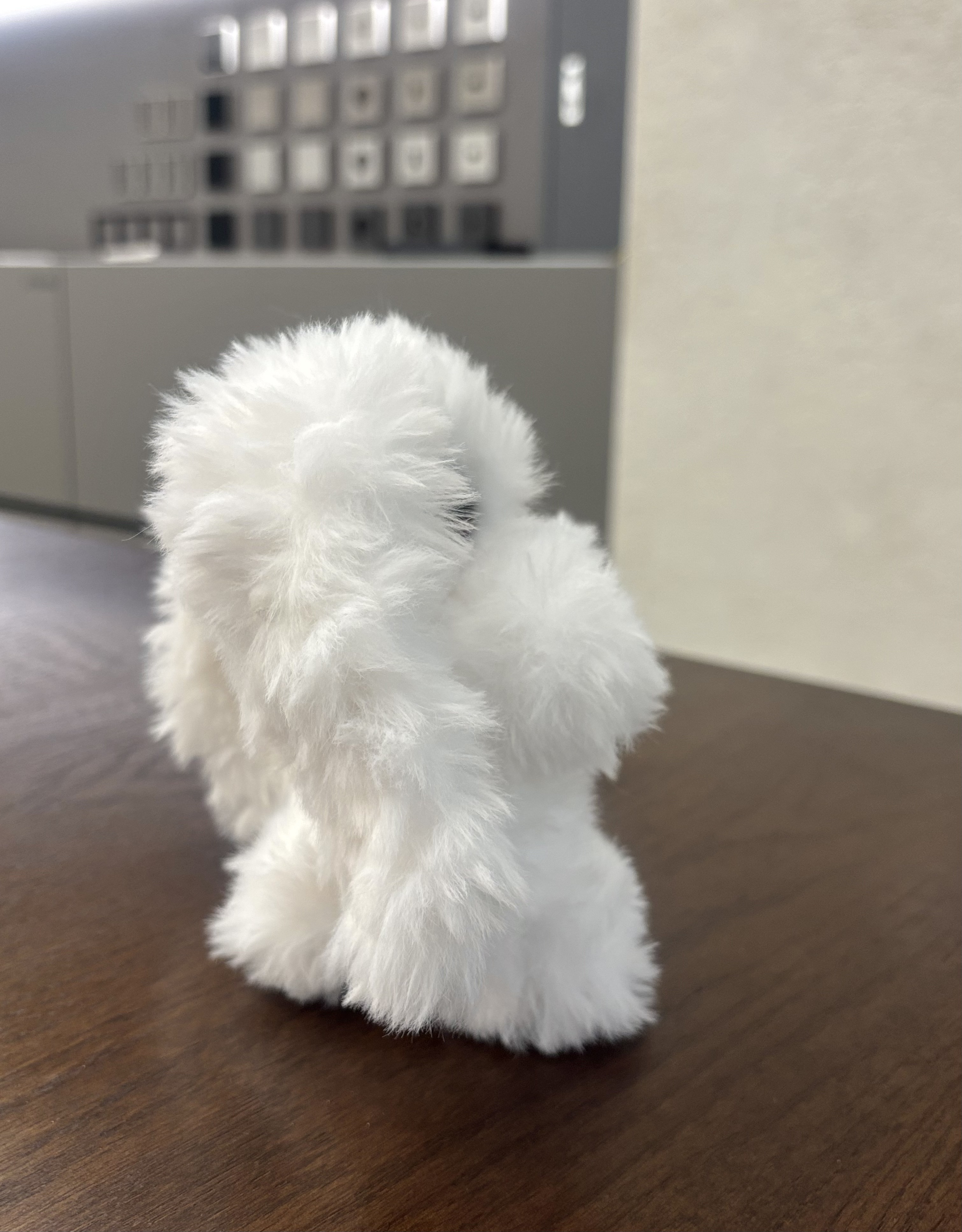 Lop Rabbit 12